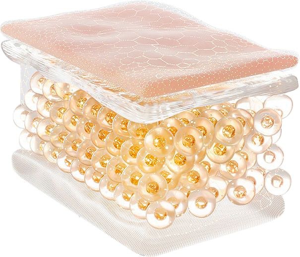 Cấu trúc hàng rào bảo vệ da với lớp sừng và hệ lipid tự nhiên giúp duy trì độ ẩm và sự ổn định của làn da